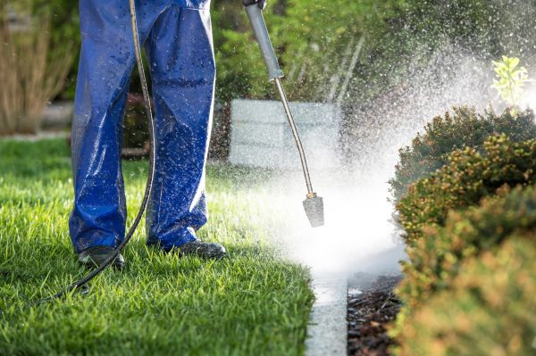Curb Cleaning in North Fort Myers