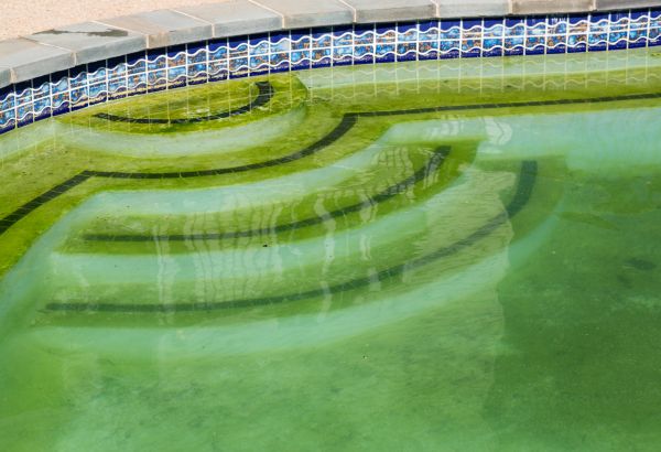Pool Deck Algae Removal in North Fort Myers