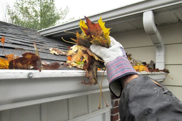 Eaves Cleaning in North Fort Myers