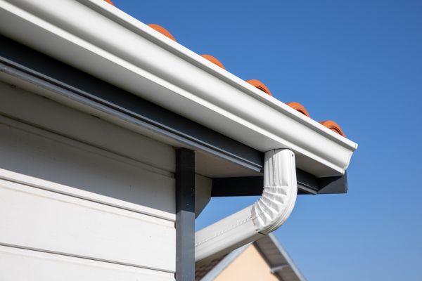 Roofline Cleaning in North Fort Myers