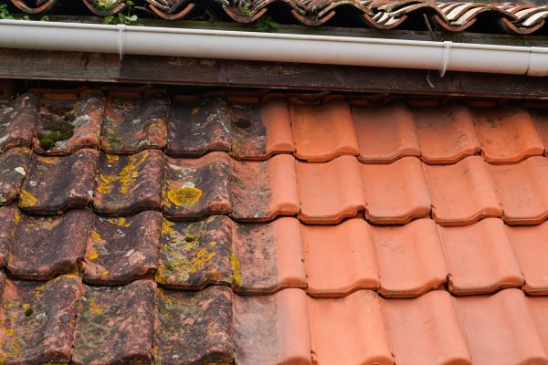 Industrial Roof Cleaning in North Fort Myers