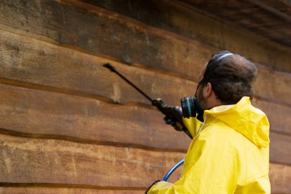 Cedar Siding Washing in North Fort Myers